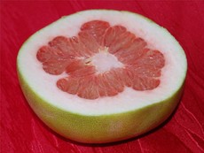 Pomelo_2.JPG